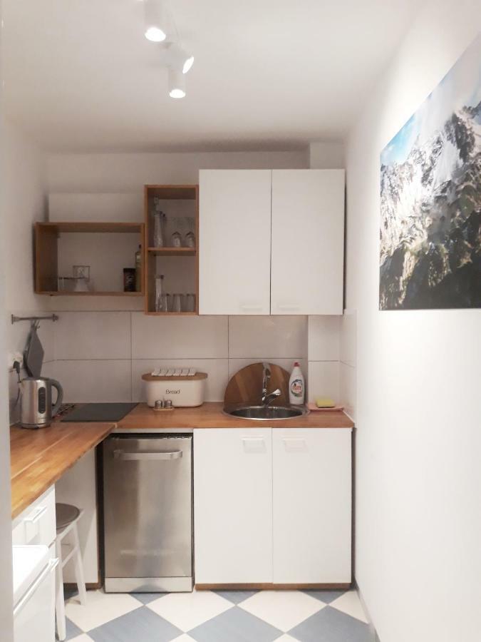 Mountain View Apartment Закопане Экстерьер фото
