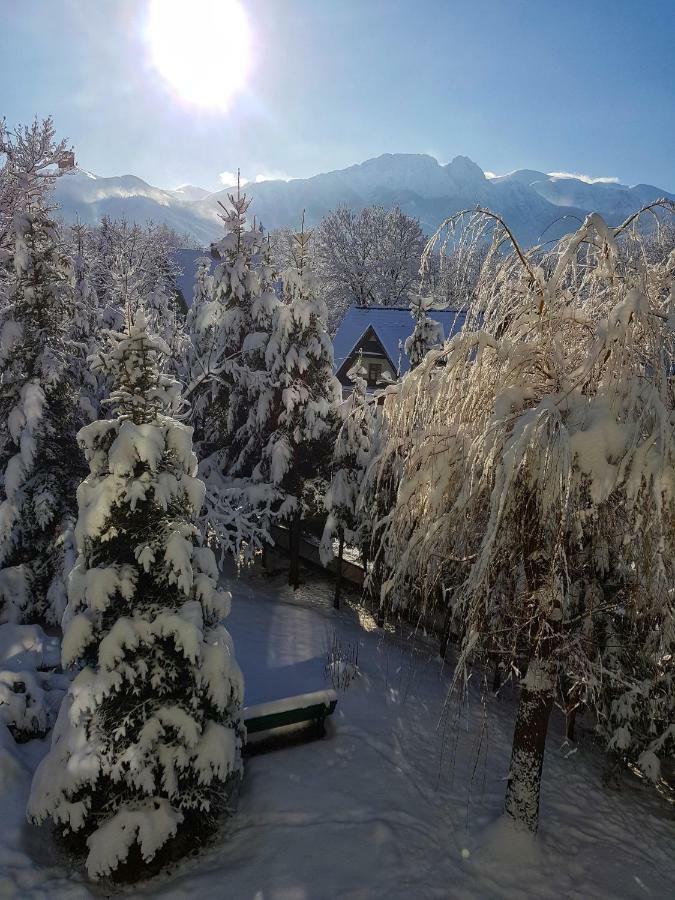 Mountain View Apartment Закопане Экстерьер фото
