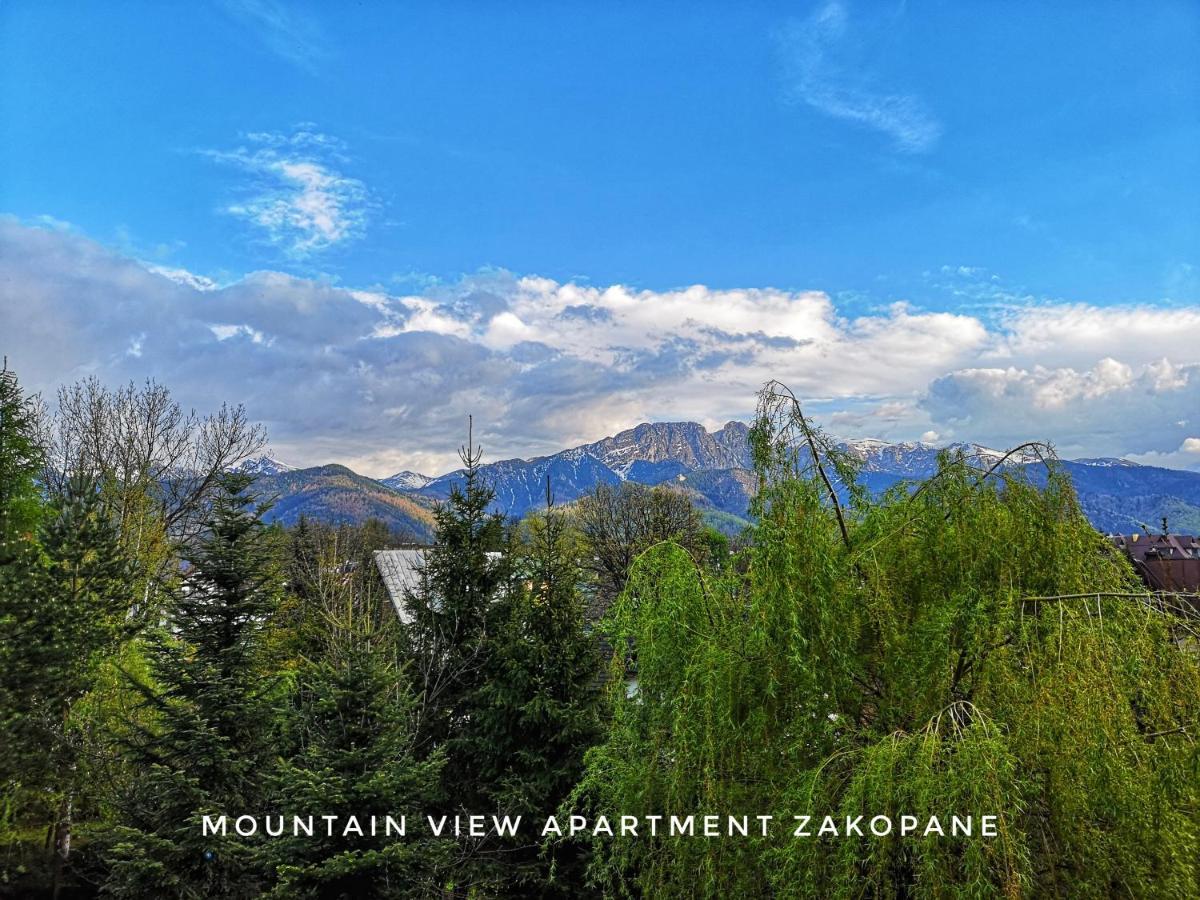 Mountain View Apartment Закопане Экстерьер фото