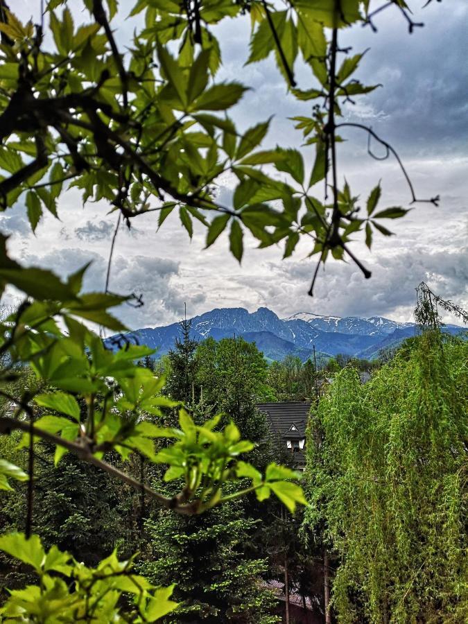 Mountain View Apartment Закопане Экстерьер фото